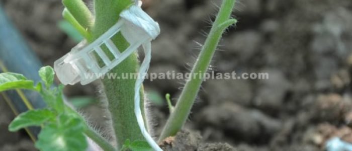 Plant Support Trellising Twine & Tomato Clips